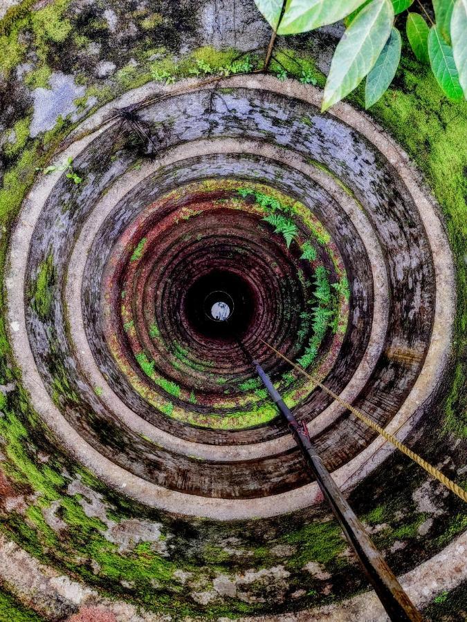 Gogonuts Hostel Varkala Bagian luar foto